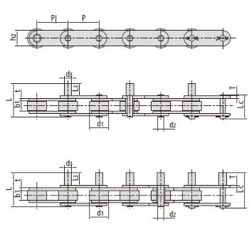 Conveyor Chains With Extended Pins P20F6-D3 P30-D3F1 P31.75F9-D1 P38.1F24-D1 P41.3F18-D1F1 P47-D1F1 P50F3-D3F1 P50F3-D3F2 P50.8F24-D3 P50.8F34-D1 P54.75-D1 *P60F11-D3 P63F20-D3 P63.5F31-D3