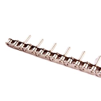 Short Pitch Conveyor Chains With Extended Pins 06C