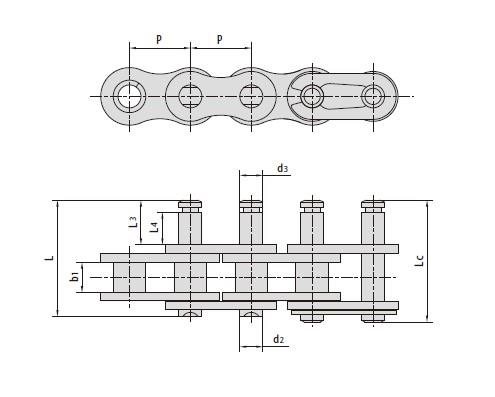 Conveyor chains with special extended pins