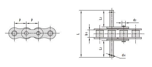 Conveyor chains with special extended pins-1