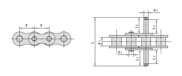 Conveyor chains with special extended pins-1