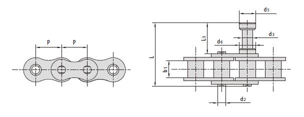 Conveyor chains with special extended pins