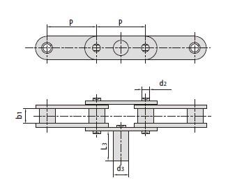 Double pitch conveyor chains with extended pins-1