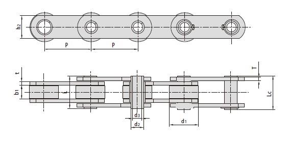 Non-standard hollow pin conveyor chains