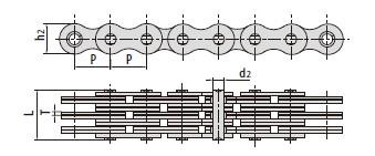 Leaf chains-1